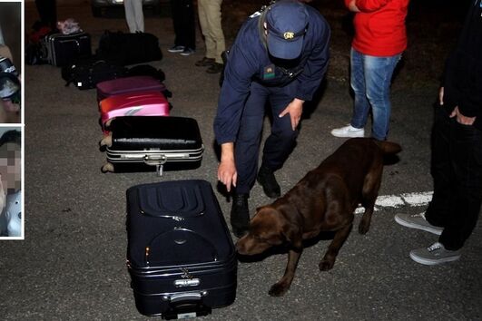 fintam, GNR, droga, lata, spray