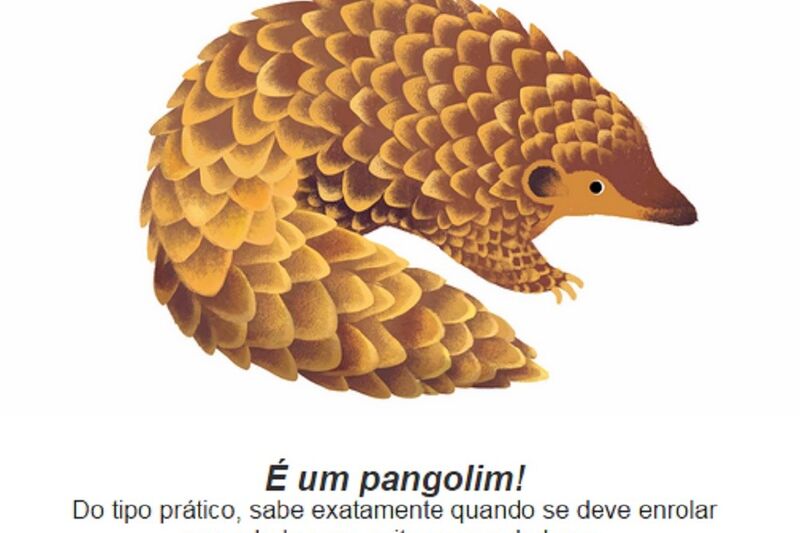 Google diz-lhe que animal é você - Tecnologia - Correio da Manhã