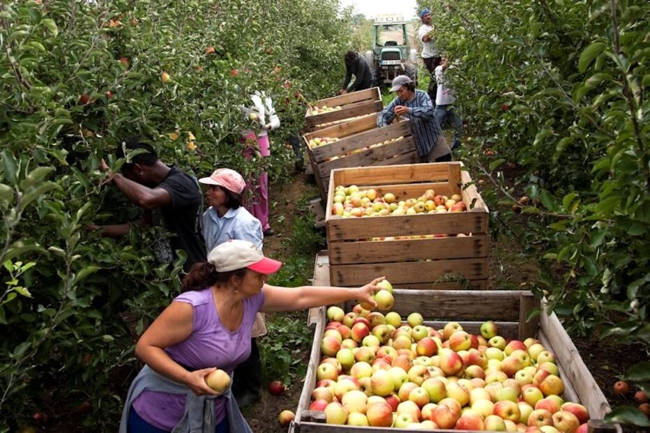 exploração, agricultura, beneficiários