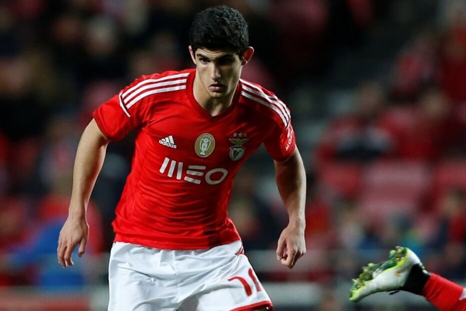 Colossos, lutam, Gonçalo Guedes