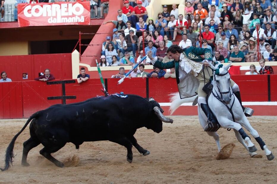 03-04-2015_20_30_37 8763785.JPG