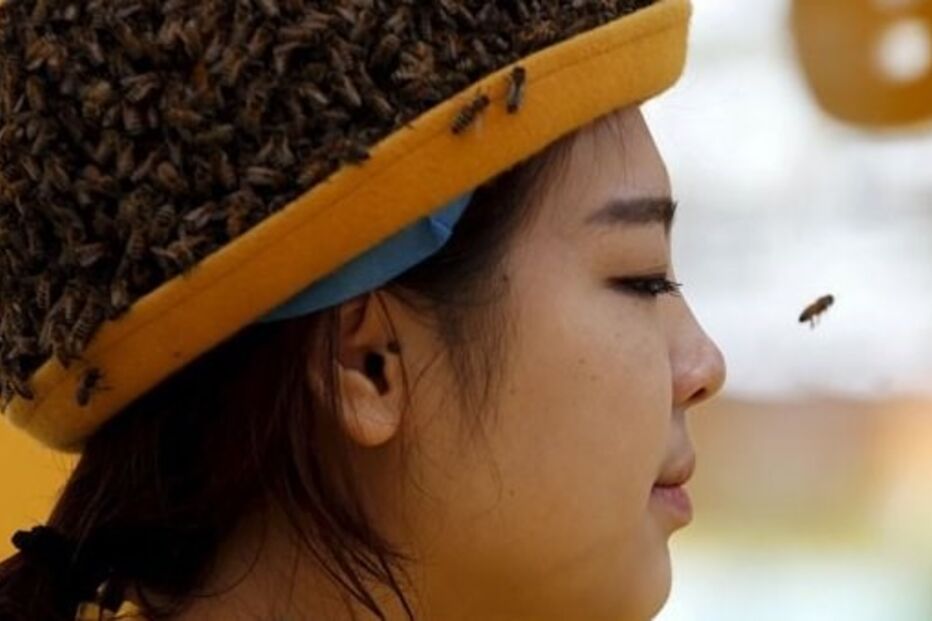 03-04-2015_21_06_33 3 - mundo louco -.jpg