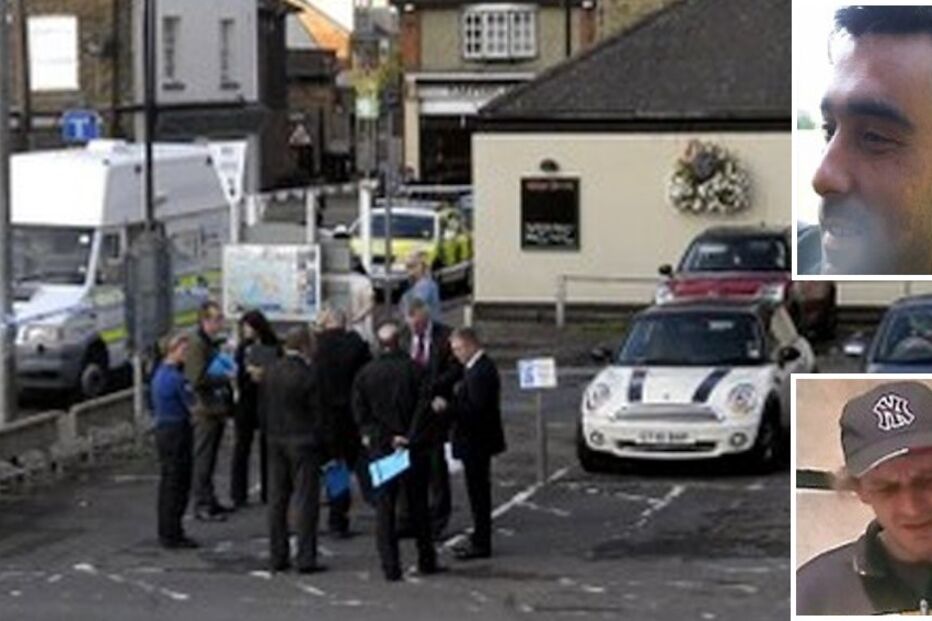 Degola, amigo, rouba, cão