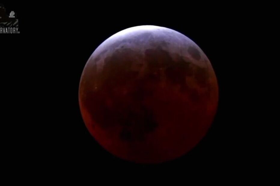 04-04-2015_17_10_36 7.jpg