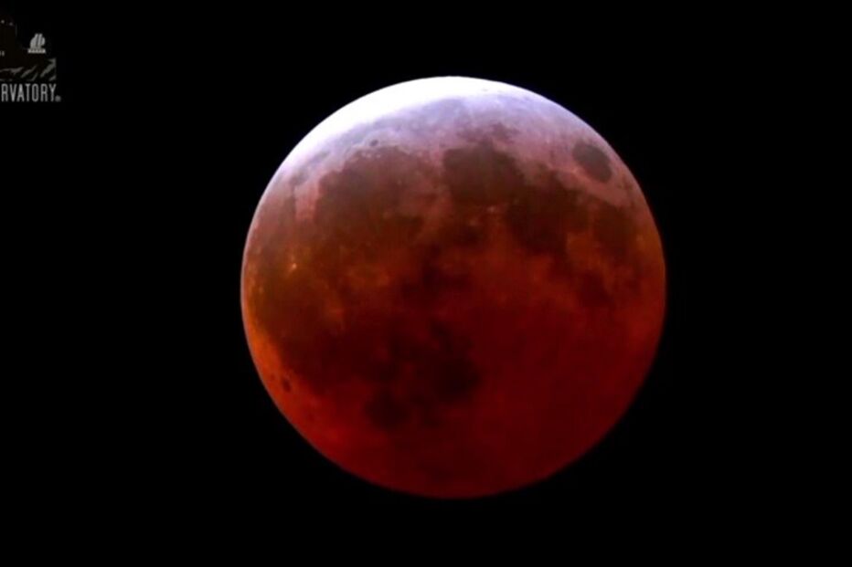 04-04-2015_17_10_41 8.jpg