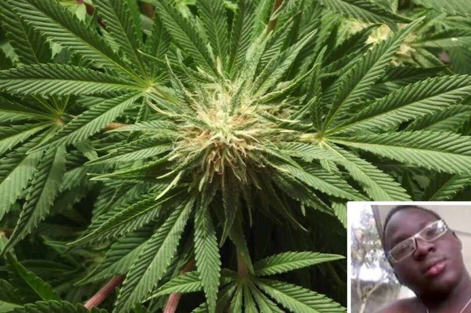 05-04-2015_17_12_04 erva.jpg