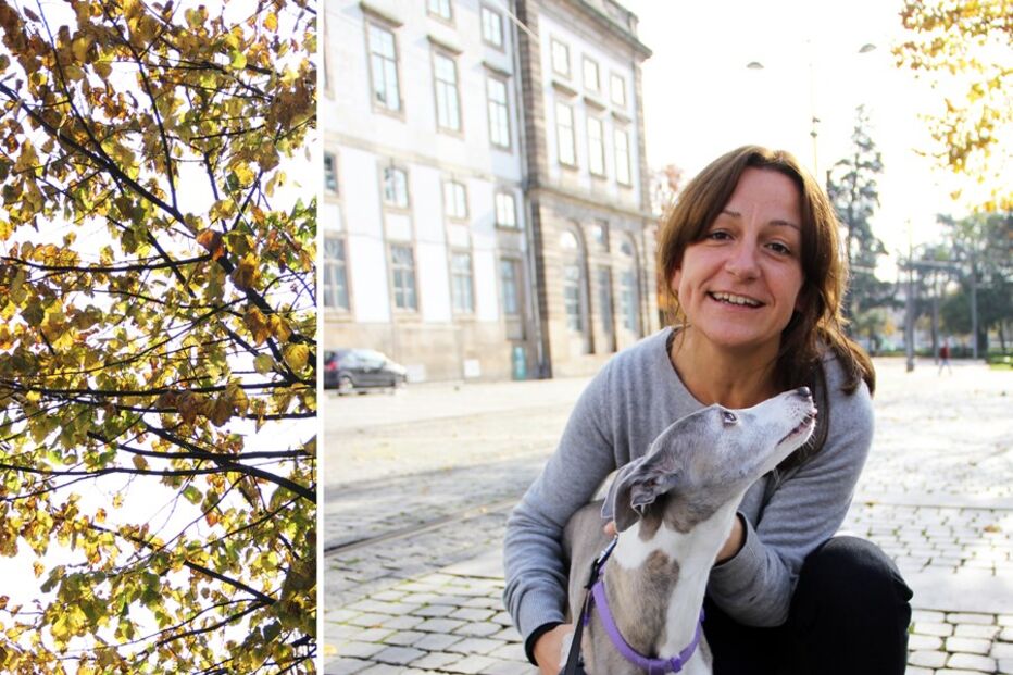 humans of, porto, fotografia