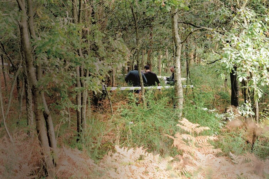 08-04-2015_02_27_17 Imagem a.jpg