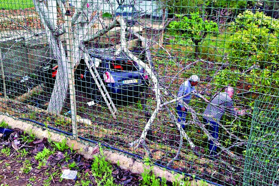 Criança de 3 anos ferida em despiste 