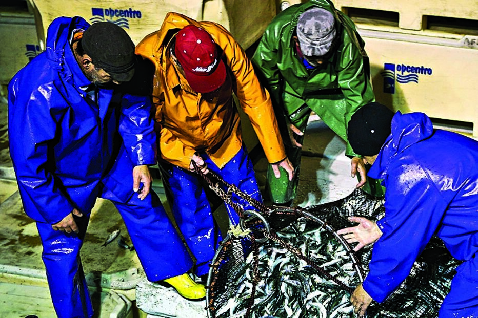 Sardinha, captura, pesca