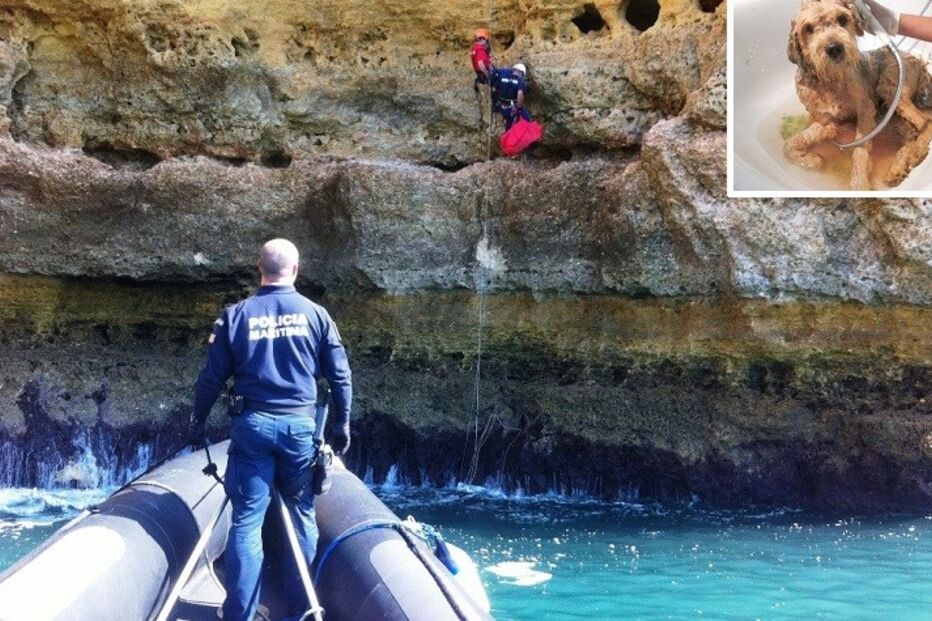 11-04-2015_23_03_53 10 algarve cao.jpg