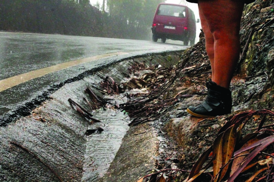 Procuram sexo 	e vivem terror 