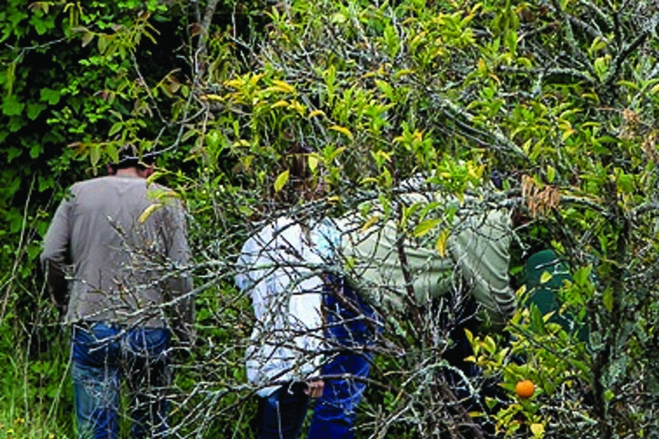 Cadáver de mulher encontrado em ribeira 