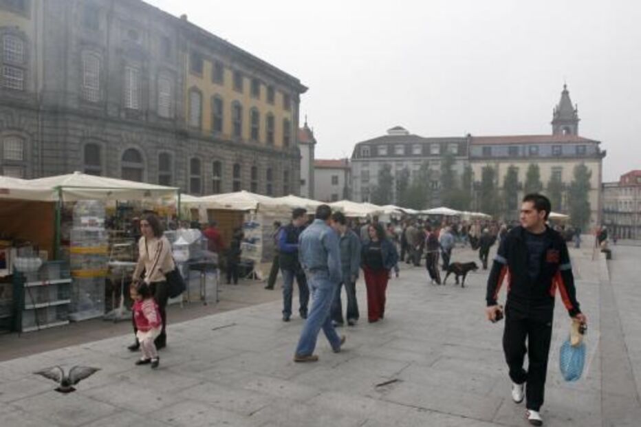 feira dos passaros