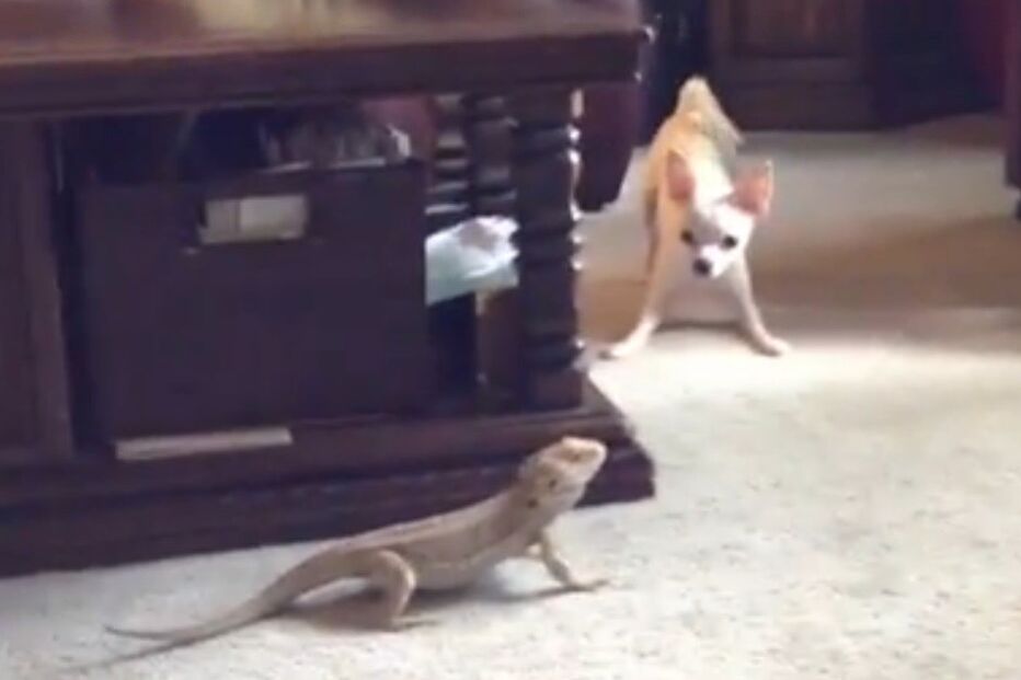 19-04-2015_21_55_49 ml1.jpg