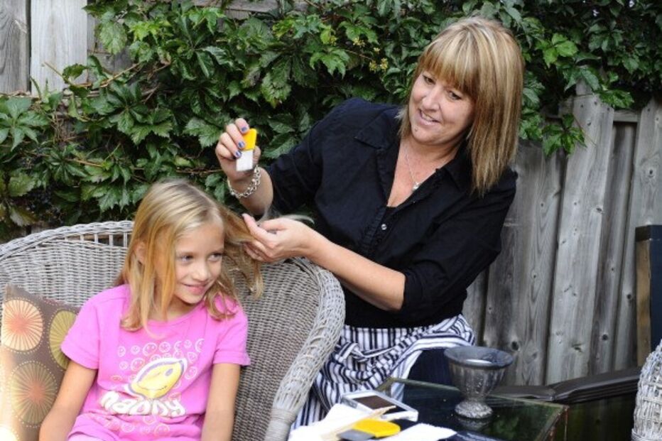 Piolhos, curiosidades, mitos 