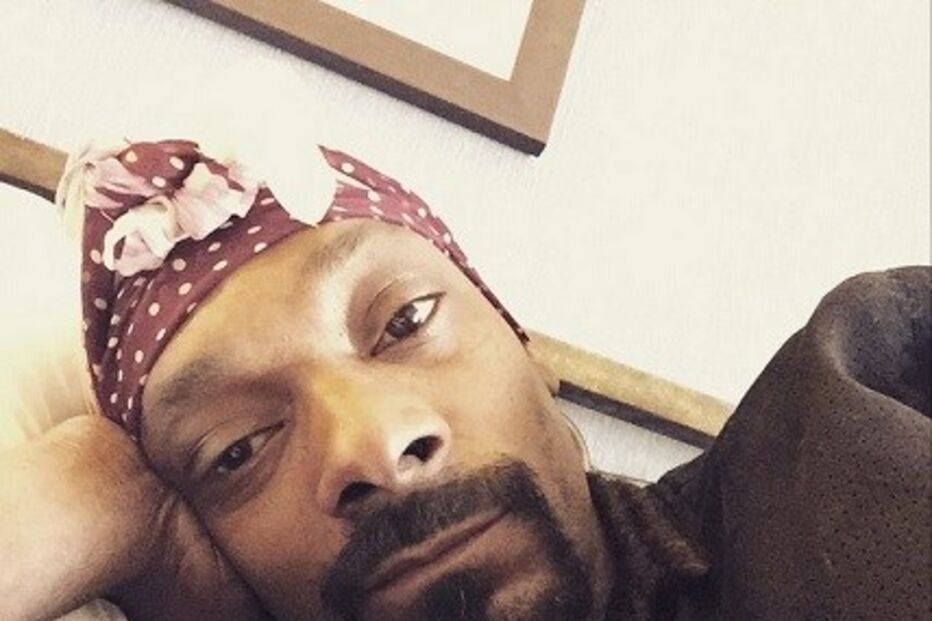 21-04-2015_11_43_44 snoop2.jpg