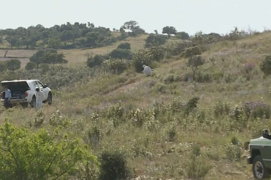sítio do Pereiro, Monte Farelo, reserva de caça, Alcoutim, Algarve, crime, PJ, vestígios, GNR, jipe