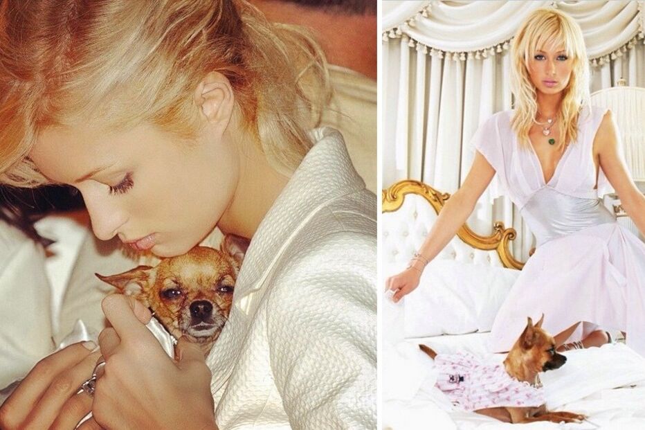 23-04-2015_12_06_06 paris tinker.jpg