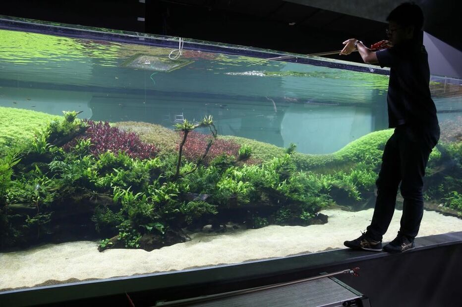 Oceanário de Lisboa