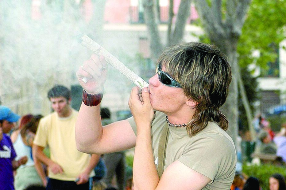 Canábis debatida no Parlamento 