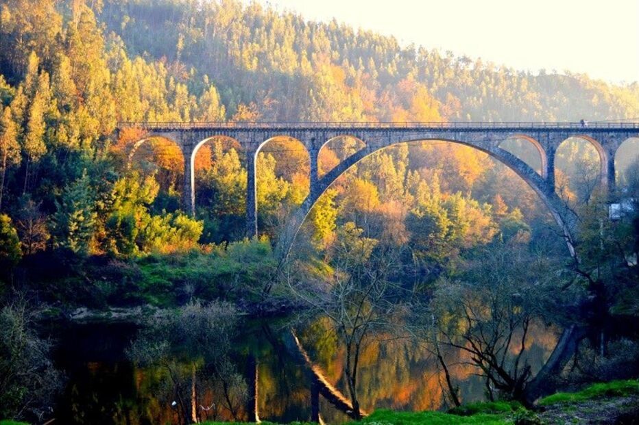 Gonçalo José Saraiva, Geração Arte