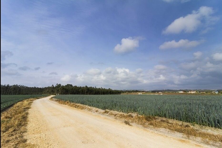 fotografias, Fábio Silva