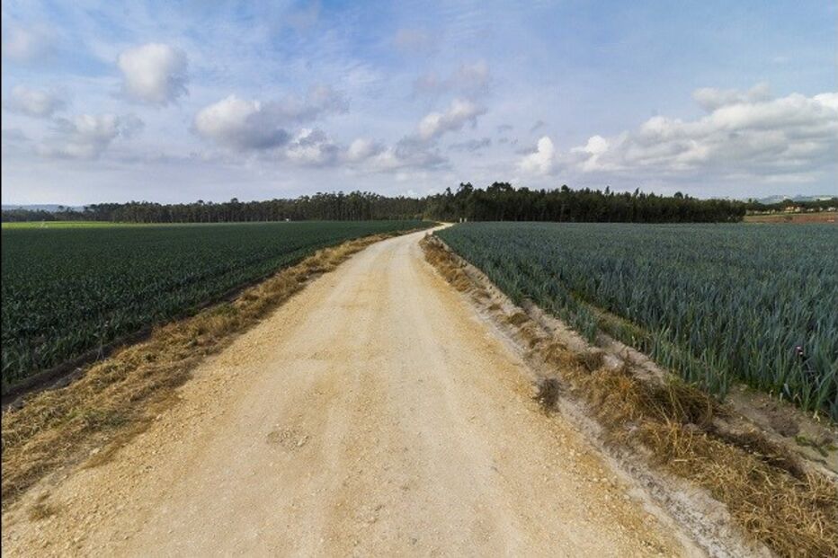 fotografias, Fábio Silva