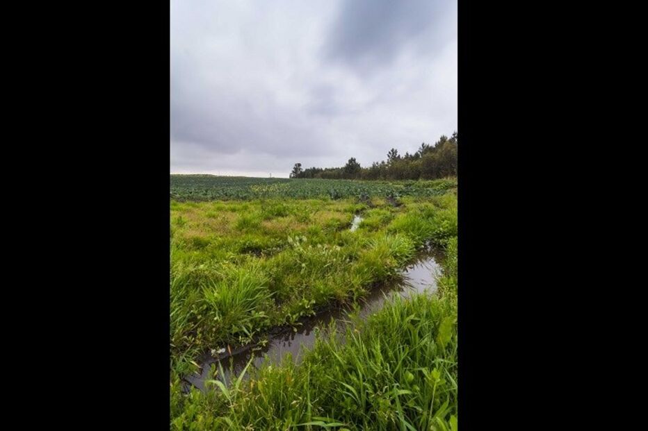 fotografias, Fábio Silva