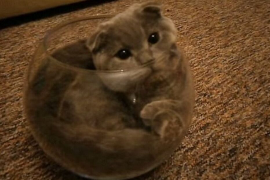 29-04-2015_21_04_58 3 - mundo louco - - Copy.jpg