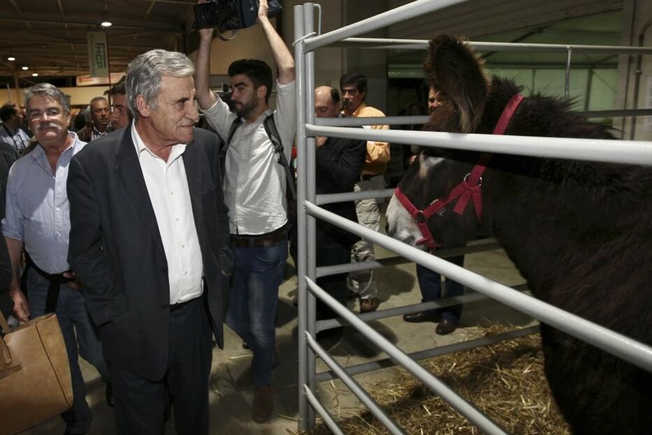 jeronimo sousa, ovibeja