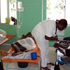 Vacinação contra cólera abrange mais de 300 mil pessoas no norte de Moçambique