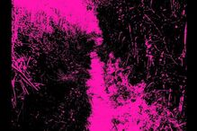 geração arte, fotografia, Miguel Bexiga, Batimentos de uma cidade abandonada