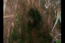 geração arte, fotografia, Miguel Bexiga, Batimentos de uma cidade abandonada