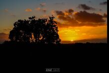 geração arte, josué duarte