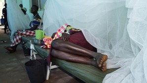 Autoridades declaram primeiro surto de cólera em três anos no centro de Moçambique