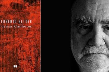 Herberto Helder, poemas canhotos