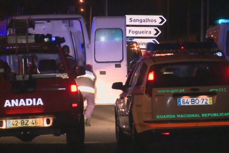 despiste, acidente, anadia, mota