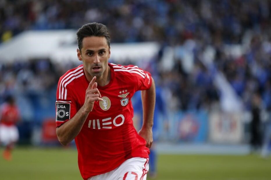 02-05-2015_16_11_31 9931552.JPG