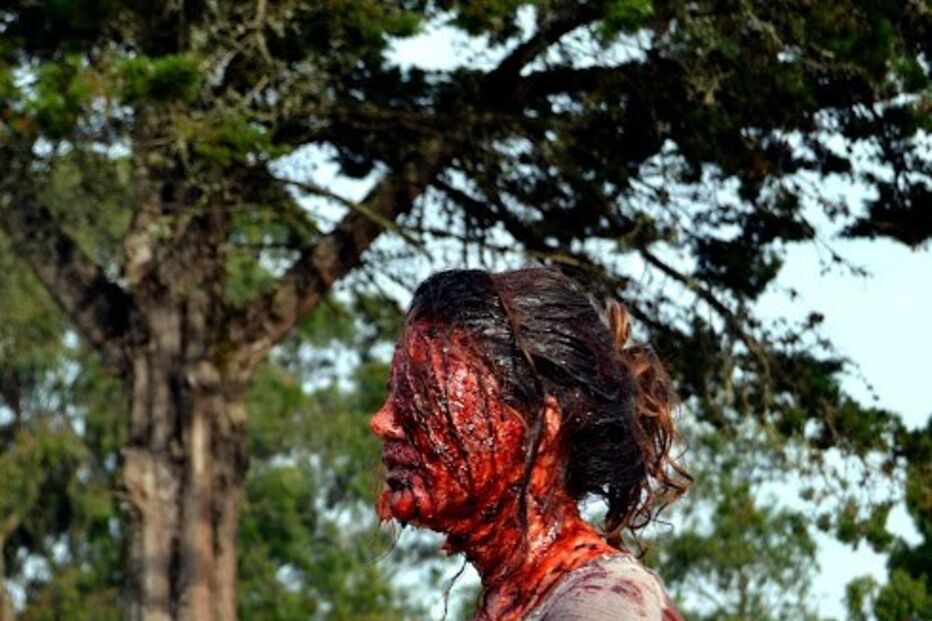 02-05-2015_23_49_15 3 - zombie - tomás coelho.jpg