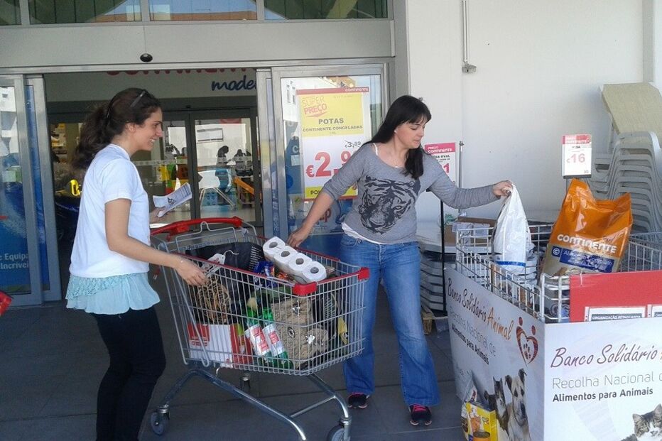 recolha de alimentos, animais, animalife