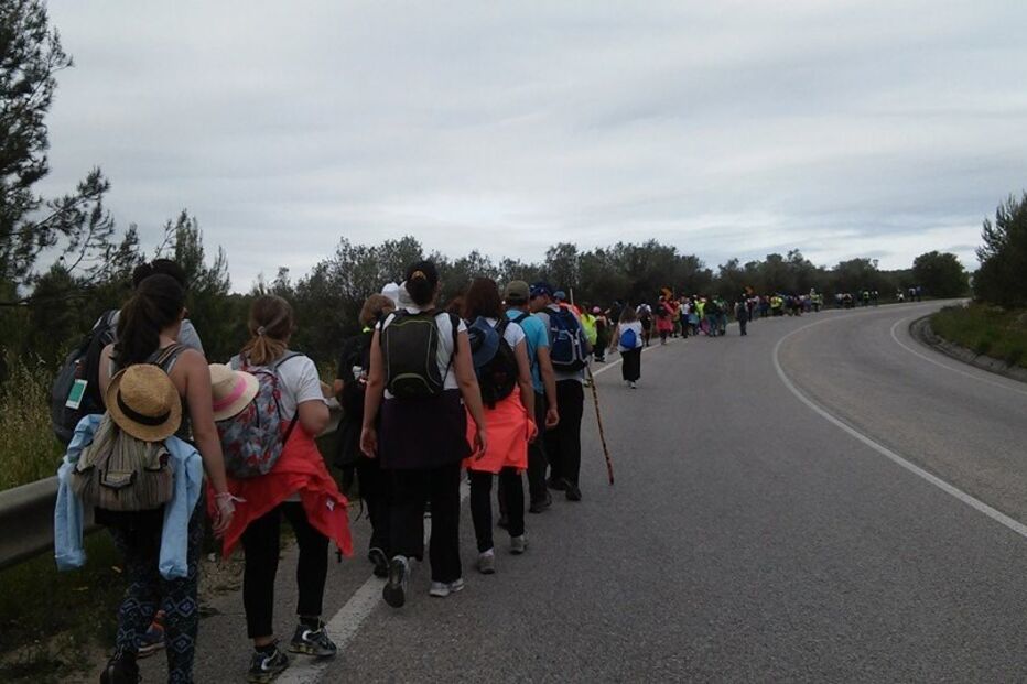 peregrinação, Fátima, leitores