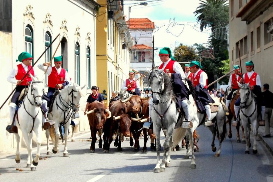 largada, chamusca, ascensão