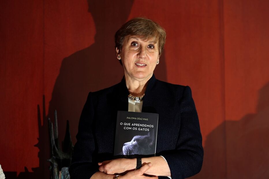 15-05-2015_12_48_10 a espanhola dos gatos.jpg