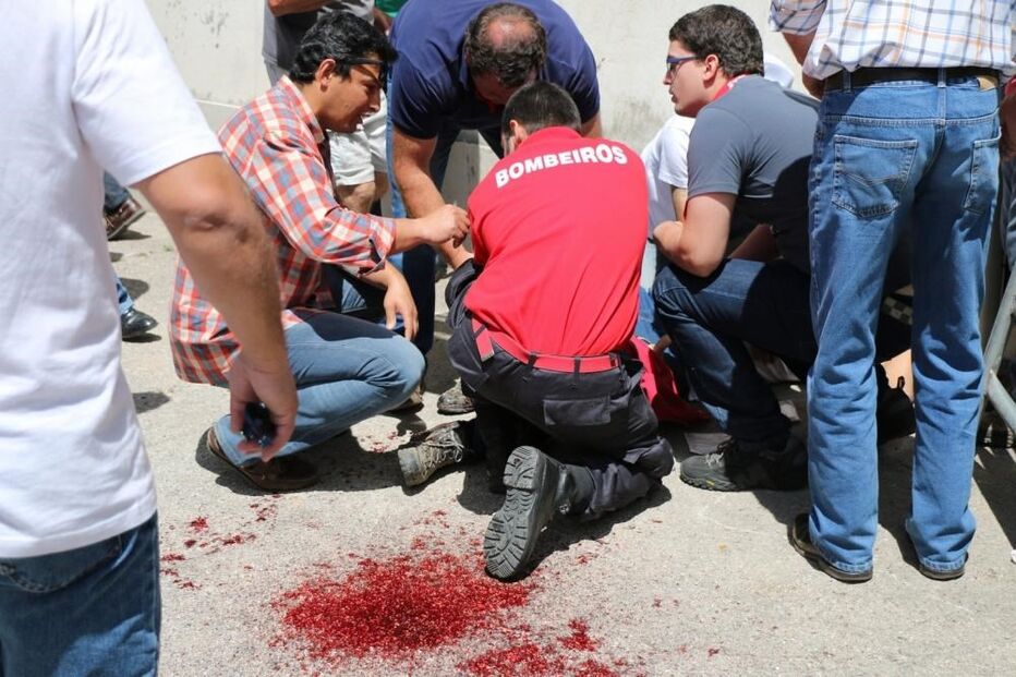 toiro, vila da chamusca