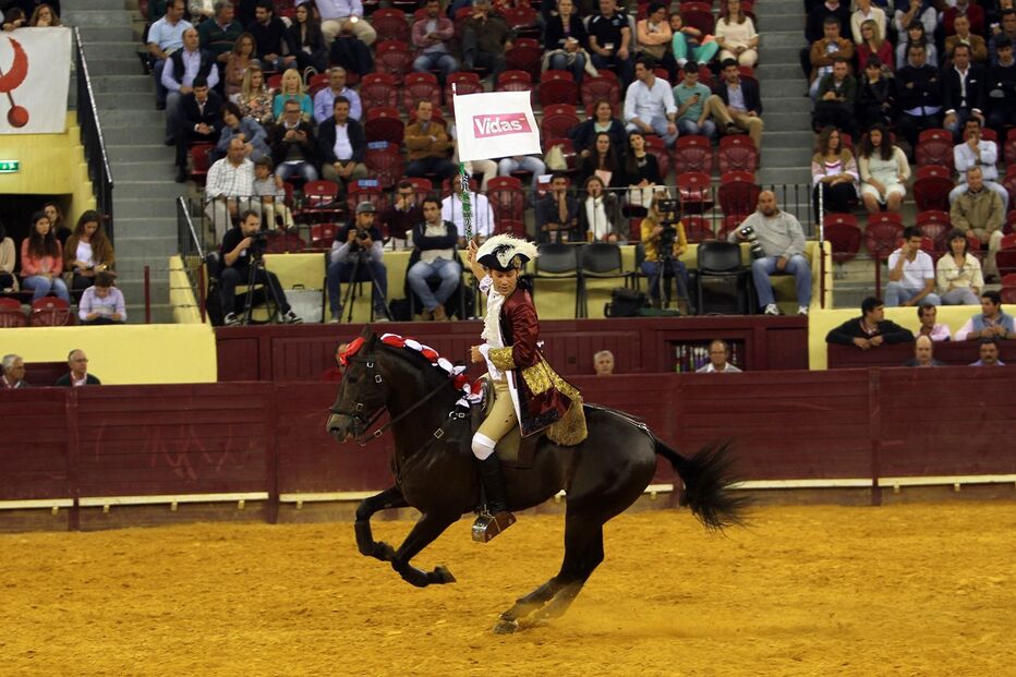 16-05-2015_02_51_45 48 tourada 1.jpg