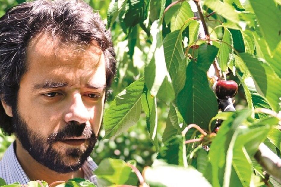 18-05-2015_02_25_24 26 cereja.jpg