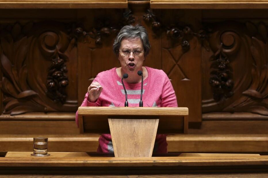 Helena Pinto, Bloco de Esquerda, BE