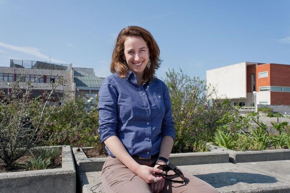 gruta, fungos, animais, Sofia Reboleira, investigação, Portugal, cientista