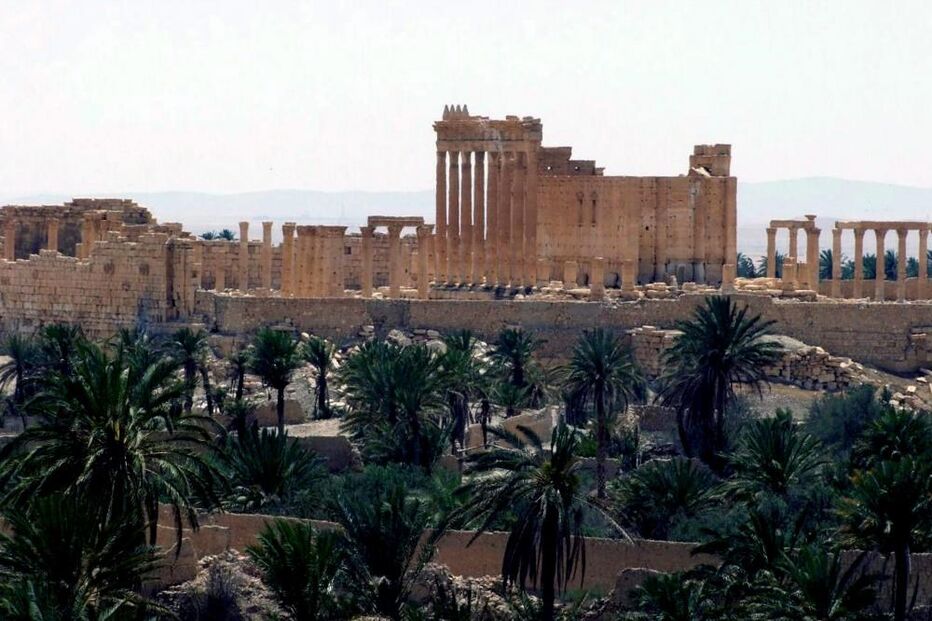 palmyra